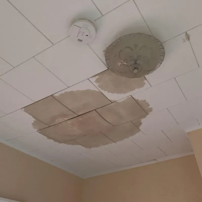 Ceiling Water Damage Repair in Rapid Valley, SD